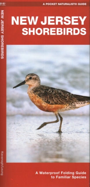 New Jersey Shorebirds - A Waterproof Folding Guide to Familiar Species