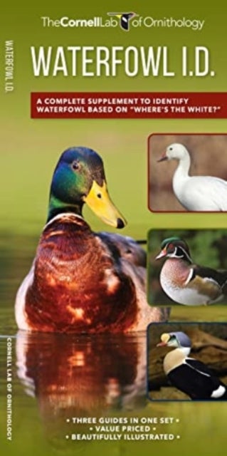 Waterfowl Id Set - A Complete Supplement to Indentify Waterfowl Based on "Where's the white?"