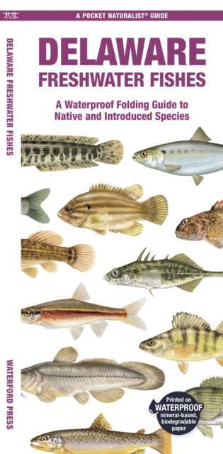 Delaware Freshwater Fishes - A Folding Guide to Native and Introduced Species