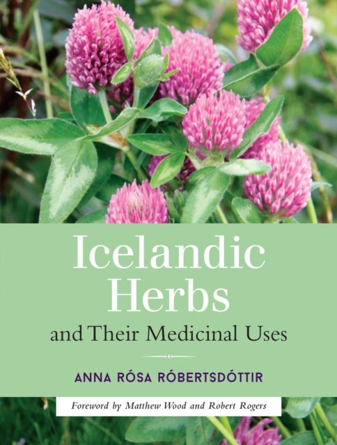 Bilde av Icelandic Herbs And Their Medicinal Uses Av Anna Rosa Robertsdottir