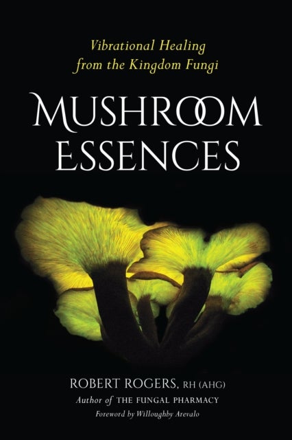 Mushroom Essences - Vibrational Healing from the Kingdom Fungi