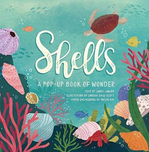 Shells - A Pop-up Book of Wonder