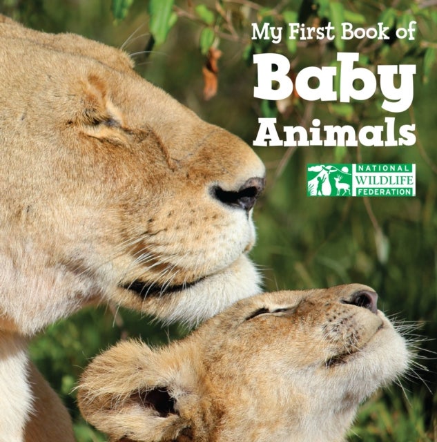 Bilde av My First Book Of Baby Animals (national Wildlife Federation) Av National Wildlife Federation