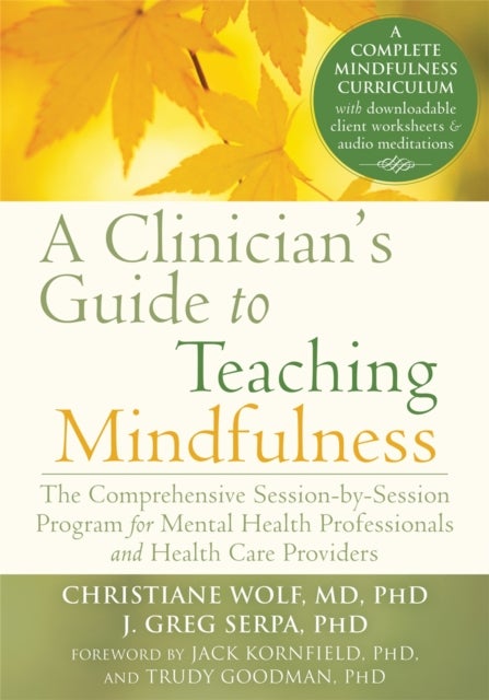 A Clinician's Guide to Teaching Mindfulness - The Comprehensive Session-by-Session Program for Mental Health Professionals and Health Care Provide