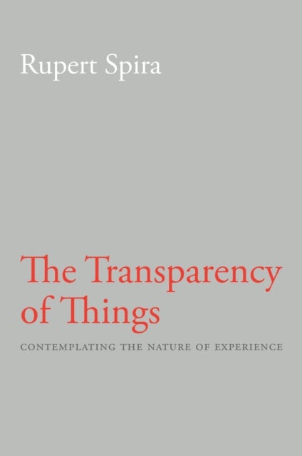 Transparency of Things - Contemplating the Nature of Experience