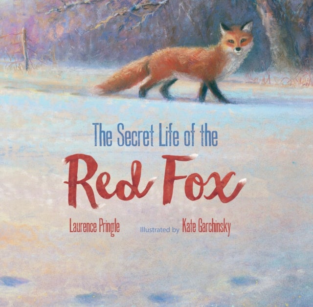 Bilde av Secret Life Of The Red Fox Av Laurence Pringle