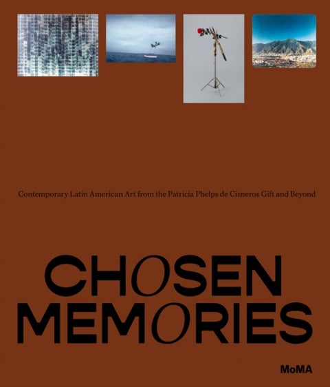 Chosen Memories - Contemporary Latin American Art from the Patricia Phelps de Cisneros Gift and Beyond