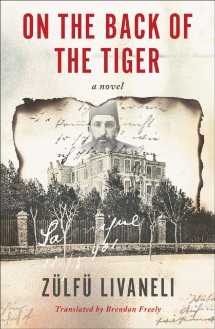 On The Back Of The Tiger - A Novel