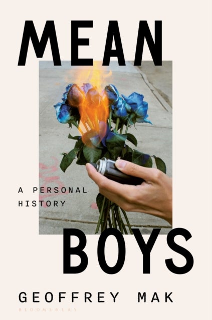Mean Boys - A Personal History