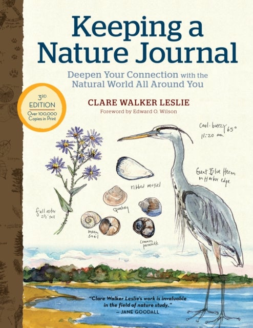 Bilde av Keeping A Nature Journal, 3rd Edition: Deepen Your Connection With The Natural World All Around You Av Clare Walker Leslie