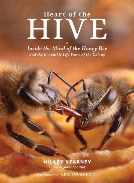 Heart of the Hive - Inside the Mind of the Honey Bee and the Incredible Life Force of the Colony