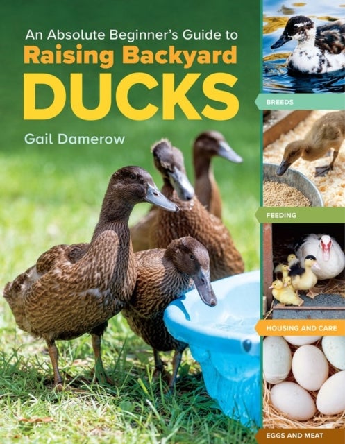 An Absolute Beginner's Guide to Raising Backyard Ducks - Breeds, Feeding, Housing and Care, Eggs and Meat