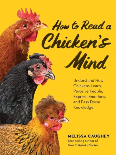 How to Read a Chicken's Mind - Understand How Chickens Learn, Perceive People, Express Emotions, and Pass Down Knowledge