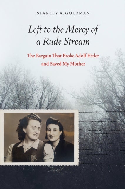Left to the Mercy of a Rude Stream - The Bargain That Broke Adolf Hitler and Saved My Mother
