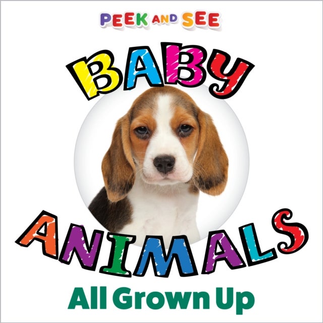 Bilde av Peek And See Baby Animals All Grown Up Av Editors Of Happy Fox Books