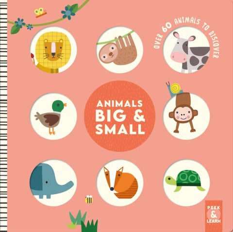 Animals Big & Small - Over 60 Animals to Discover