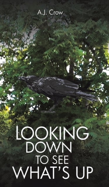 Bilde av Looking Down To See What&#039;s Up Av A.j. Crow