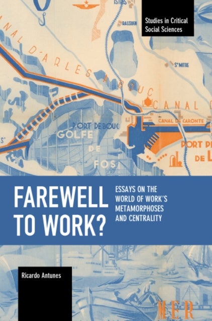 Farewell to Work? - Essays on the World of Work¿s Metamorphoses and Centrality