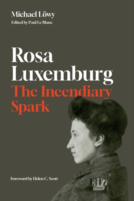 Rosa Luxemburg: The Incendiary Spark - Essays