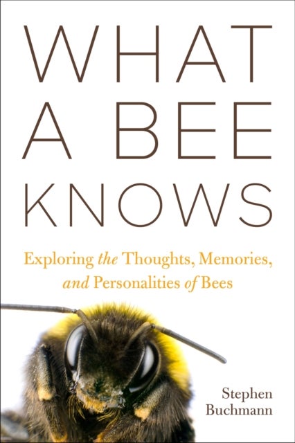 Bilde av What A Bee Knows Av Stephen L Buchmann