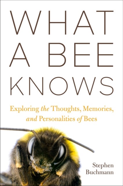 What a Bee Knows - Exploring the Thoughts, Memories, and Personalities of Bees