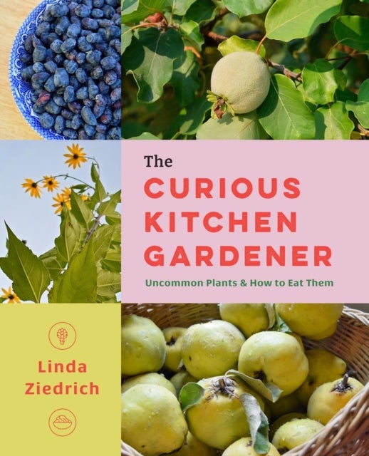 The Curious Kitchen Gardener - Uncommon Plants and How to Eat Them
