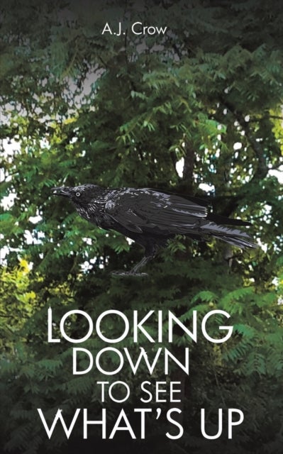 Bilde av Looking Down To See What&#039;s Up Av A.j Crow