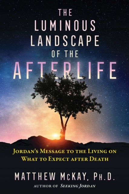 The Luminous Landscape of the Afterlife - Jordan's Message to the Living on What to Expect after Death