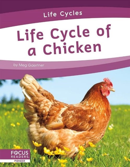 Bilde av Life Cycles: Life Cycle Of A Chicken Av Meg Gaertner