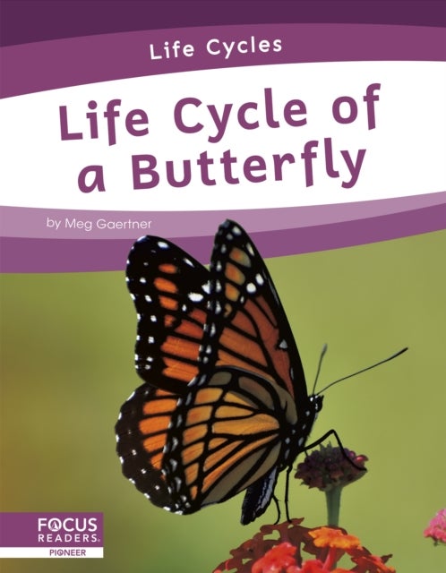 Bilde av Life Cycles: Life Cycle Of A Butterfly Av Meg Gaertner
