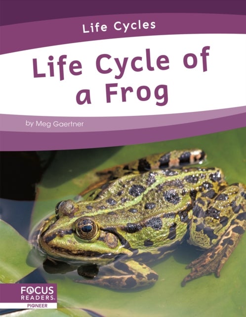 Bilde av Life Cycles: Life Cycle Of A Frog Av Meg Gaertner
