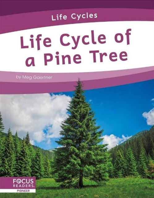 Bilde av Life Cycles: Life Cycle Of A Pine Tree Av Meg Gaertner