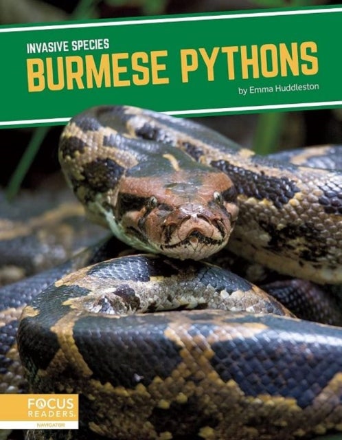 Bilde av Invasive Species: Burmese Pythons Av Emma Huddleston
