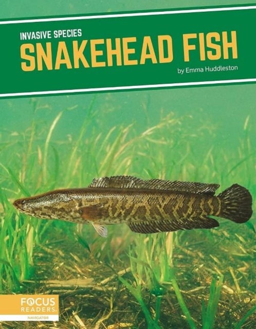 Bilde av Invasive Species: Snakehead Fish Av Emma Huddleston