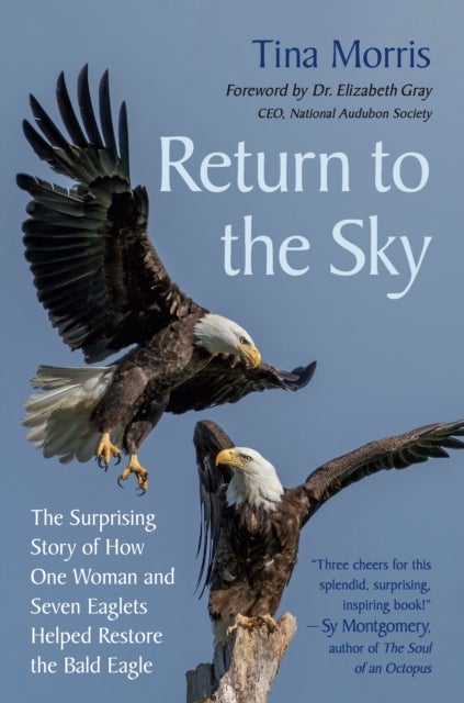Return to the Sky - The Surprising Story of How One Woman and Seven Eaglets Helped Restore the Bald Eagle