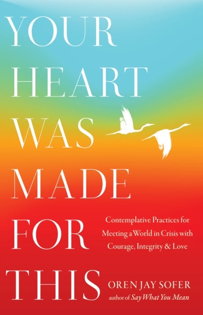 Your Heart Was Made For This - Contemplative Practices for Meeting a World in Crisis with Courage, Integrity, and Love