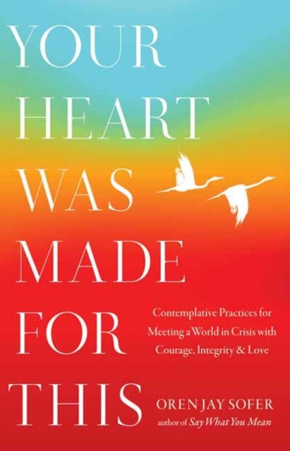 Your Heart Was Made for This - Contemplative Practices for Meeting a World in Crisis with Courage, Integrity, and Love