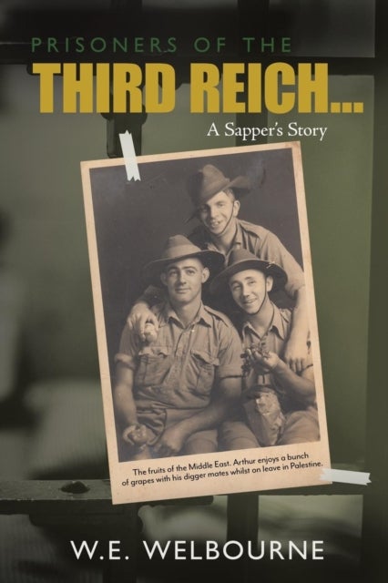 PRISONERS OF THE THIRD REICH... A Sapper's Story - New Edition