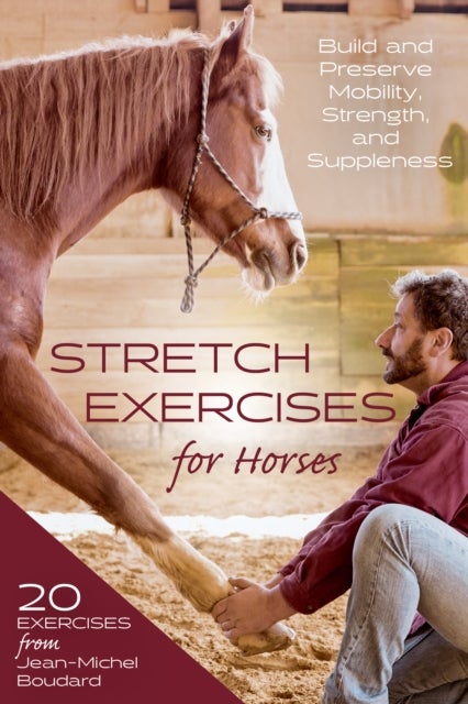 Stretch Exercises for Horses - Build and Preserve Mobility, Strength, and Suppleness