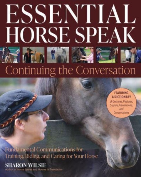 Essential Horse Speak: Continuing the Conversation - Fundamental Communications for Training, Riding and Caring for Your Horse