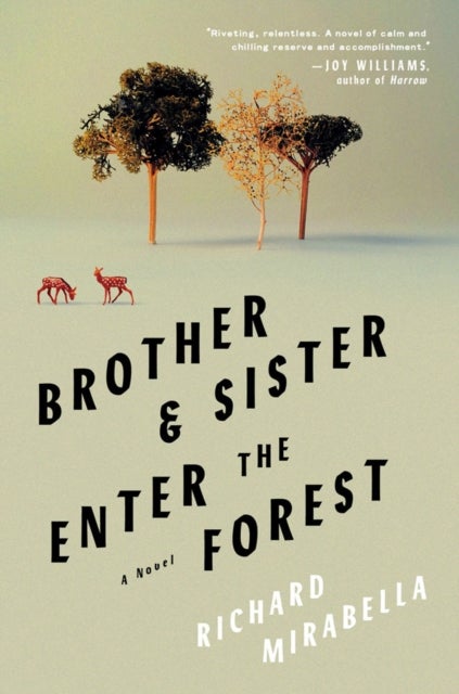 Brother & Sister Enter The Forest - A Novel
