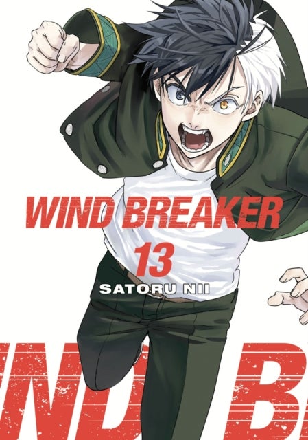 WIND BREAKER 13