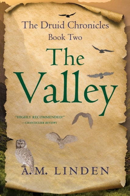 The Valley - The Druid Chronicles, Book Two
