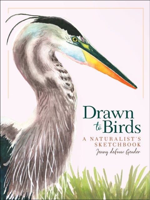Drawn to Birds - A Naturalist's Sketchbook