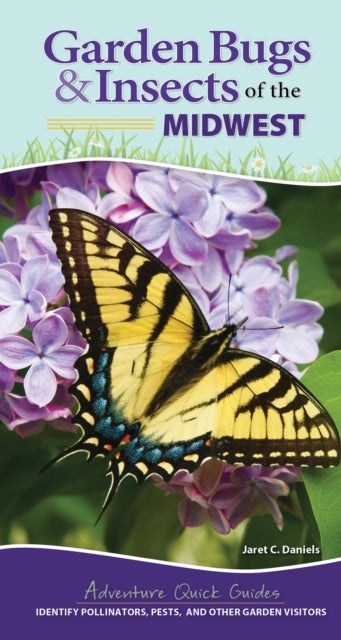 Garden Bugs & Insects of the Midwest - Identify Pollinators, Pests, and Other Garden Visitors