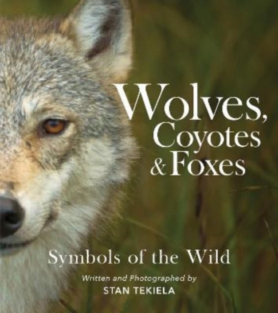 Bilde av Wolves, Coyotes &amp; Foxes Av Stan Tekiela