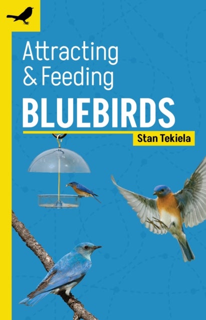 Bilde av Attracting &amp; Feeding Bluebirds Av Stan Tekiela