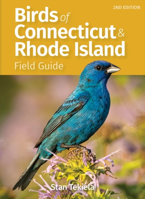 Bilde av Birds Of Connecticut Field Guide Av Stan Tekiela