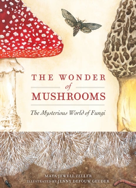 The Wonder of Mushrooms - The Mysterious World of Fungi