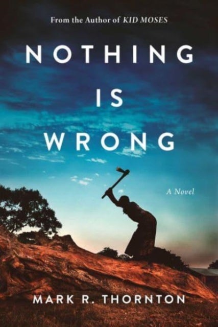 Nothing Is Wrong - A Novel